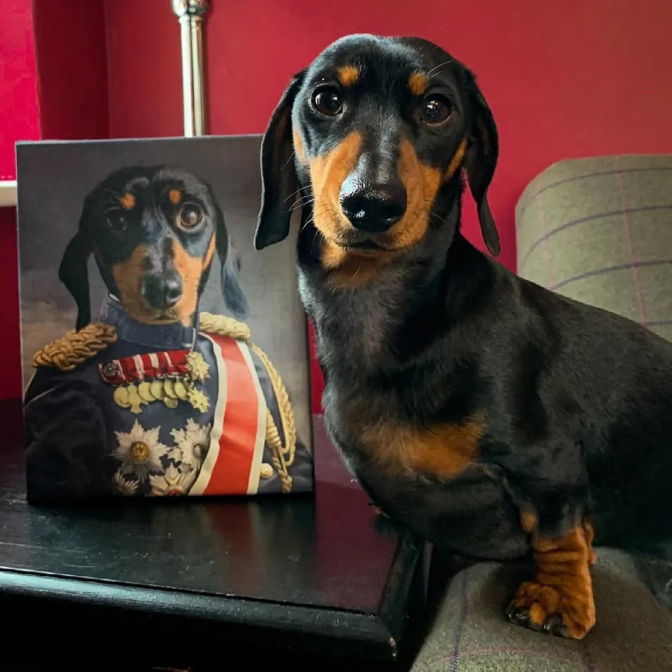 The Sergeant - Custom Pet Canvas
