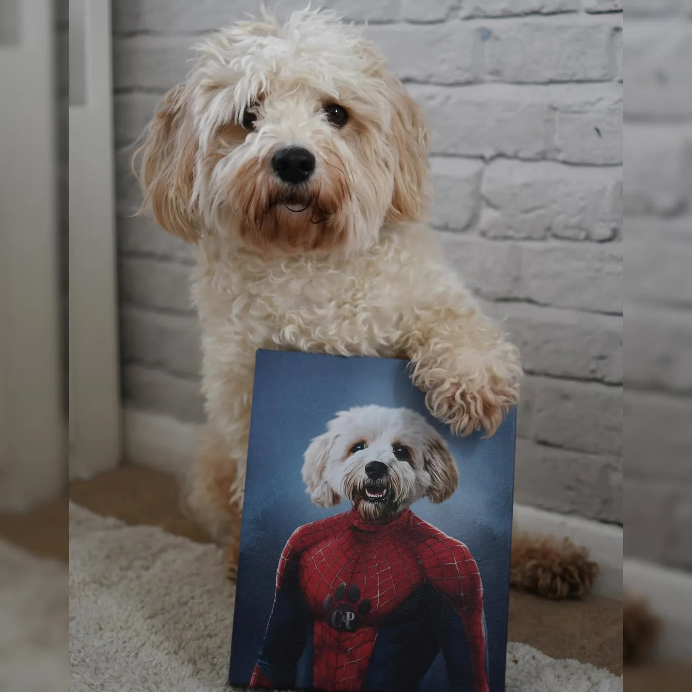 The Spiderpet - Custom Pet Canvas