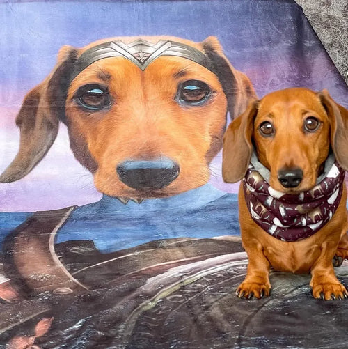 The Super Princess - Custom Pet Blanket