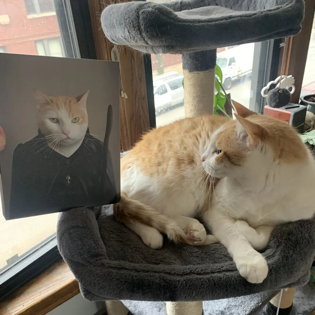 The Witch - Custom Pet Canvas