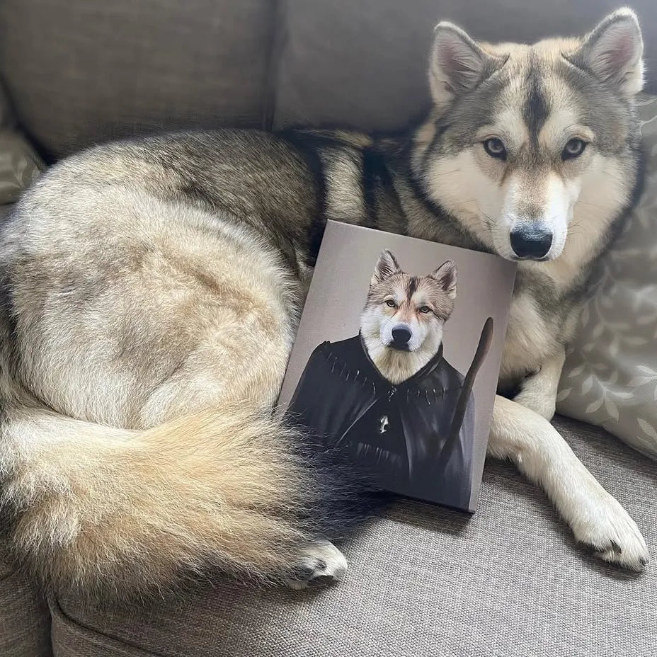 The Witch - Custom Pet Canvas