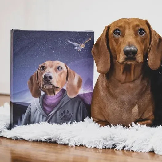 The Wizard - Custom Pet Canvas