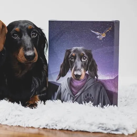The Wizard - Custom Pet Canvas
