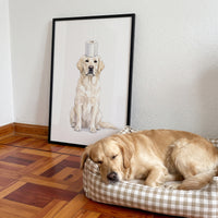 Toilet Roll Pet Portrait