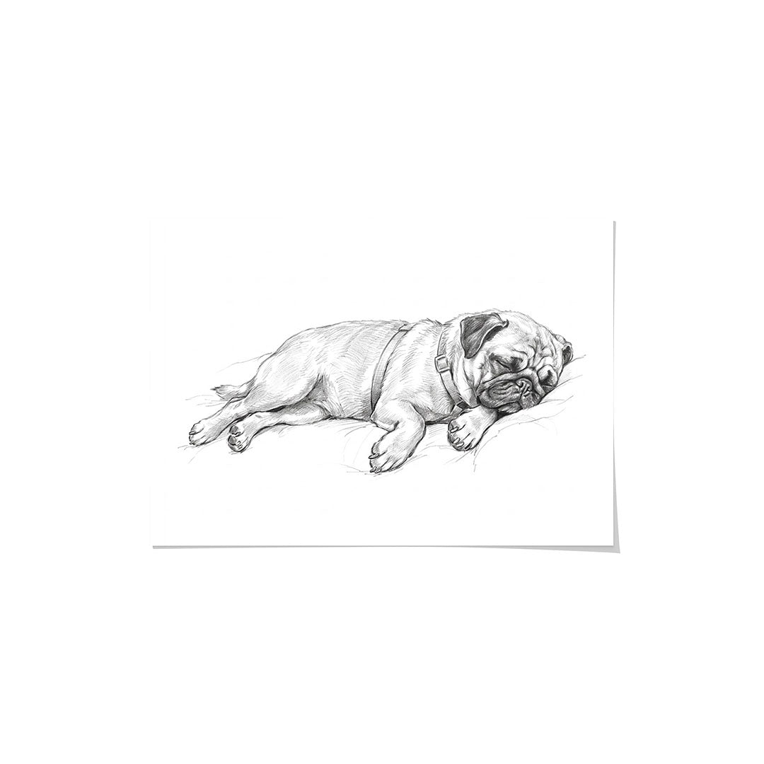 Sleeping Sketch Pet Portrait