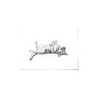 Belly Up Sleeping Pet Portrait