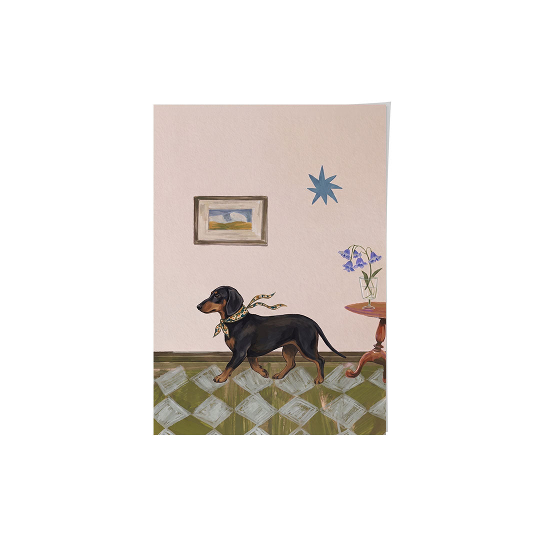 Chic Pet Portrait