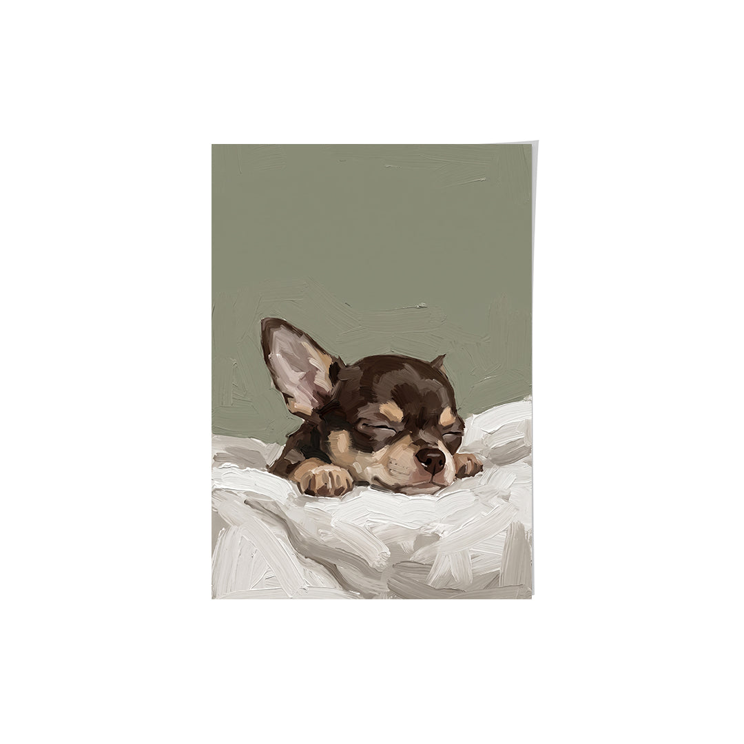 Sleeping Pet Portrait