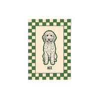 Checkered Pet Portrait