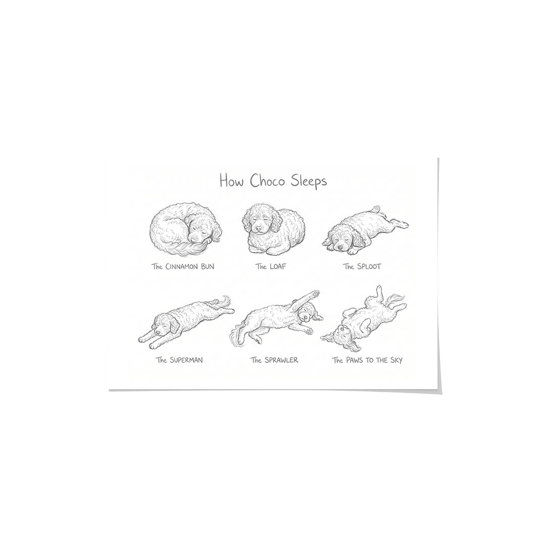 Sleeping Poses Portrait