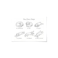 Sleeping Poses Portrait