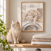 Washing Machine Pet Portrait