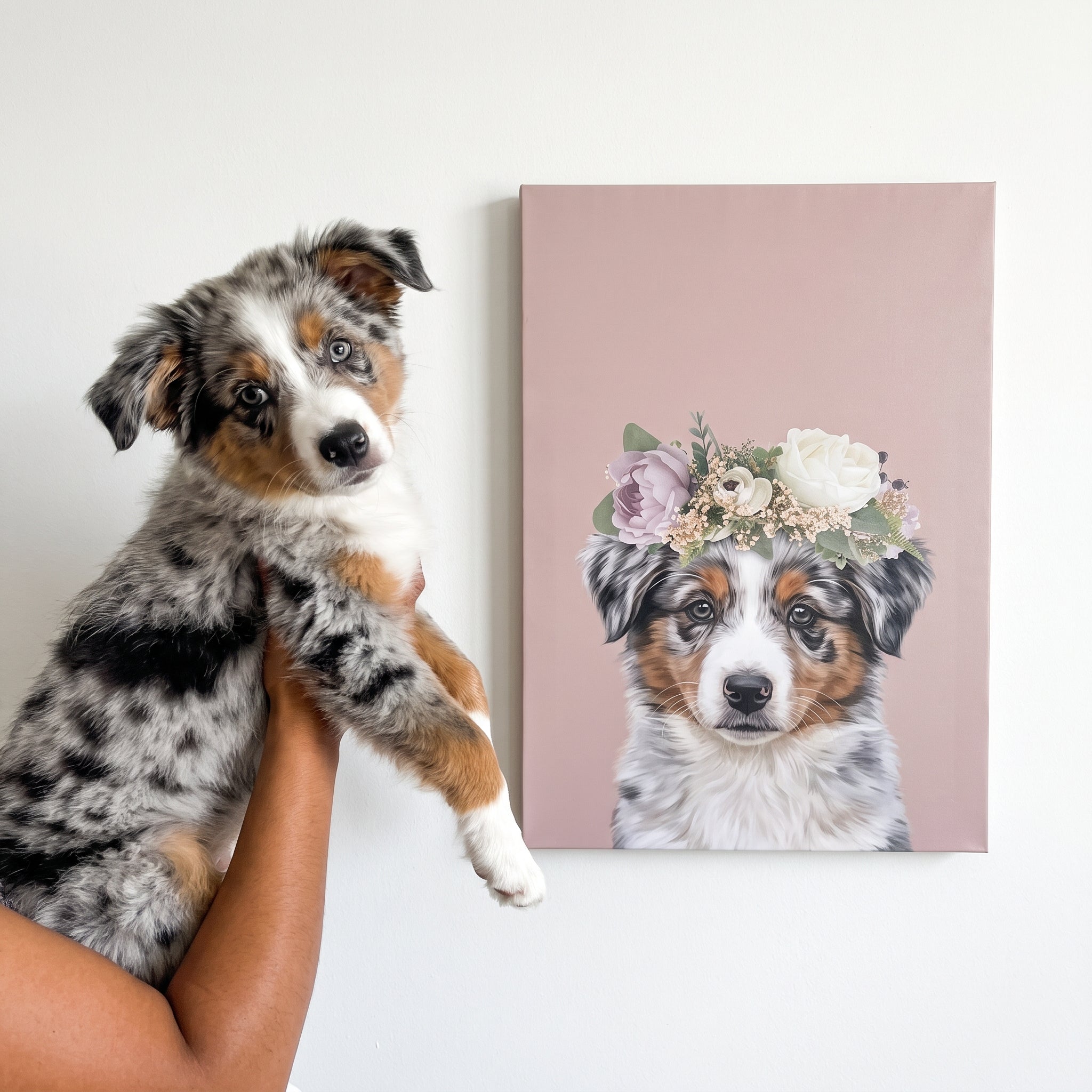 Blue merle australian shepherd next to its Full Bloom Pet Portrait custom pet canvas