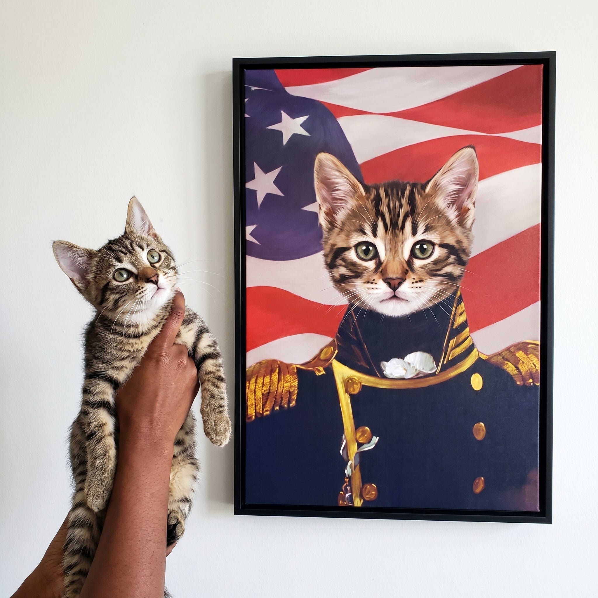 Brown tabby cat next to its The Admiral - USA Flag Edition custom pet canvas