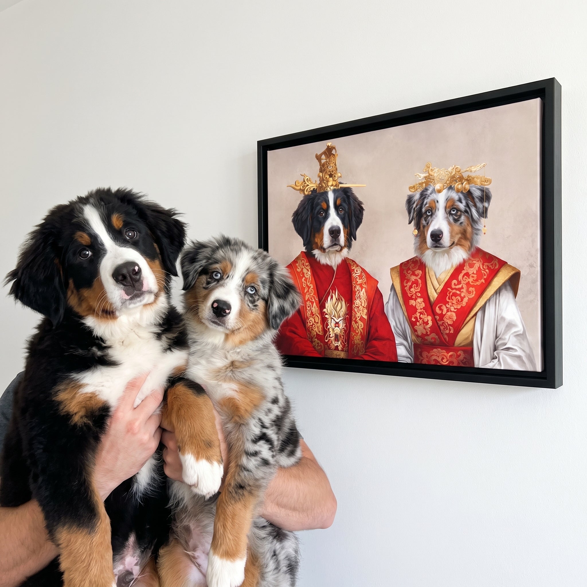 Bernese mountain dog and blue merle au next to its The Asian Rulers custom pet canvas