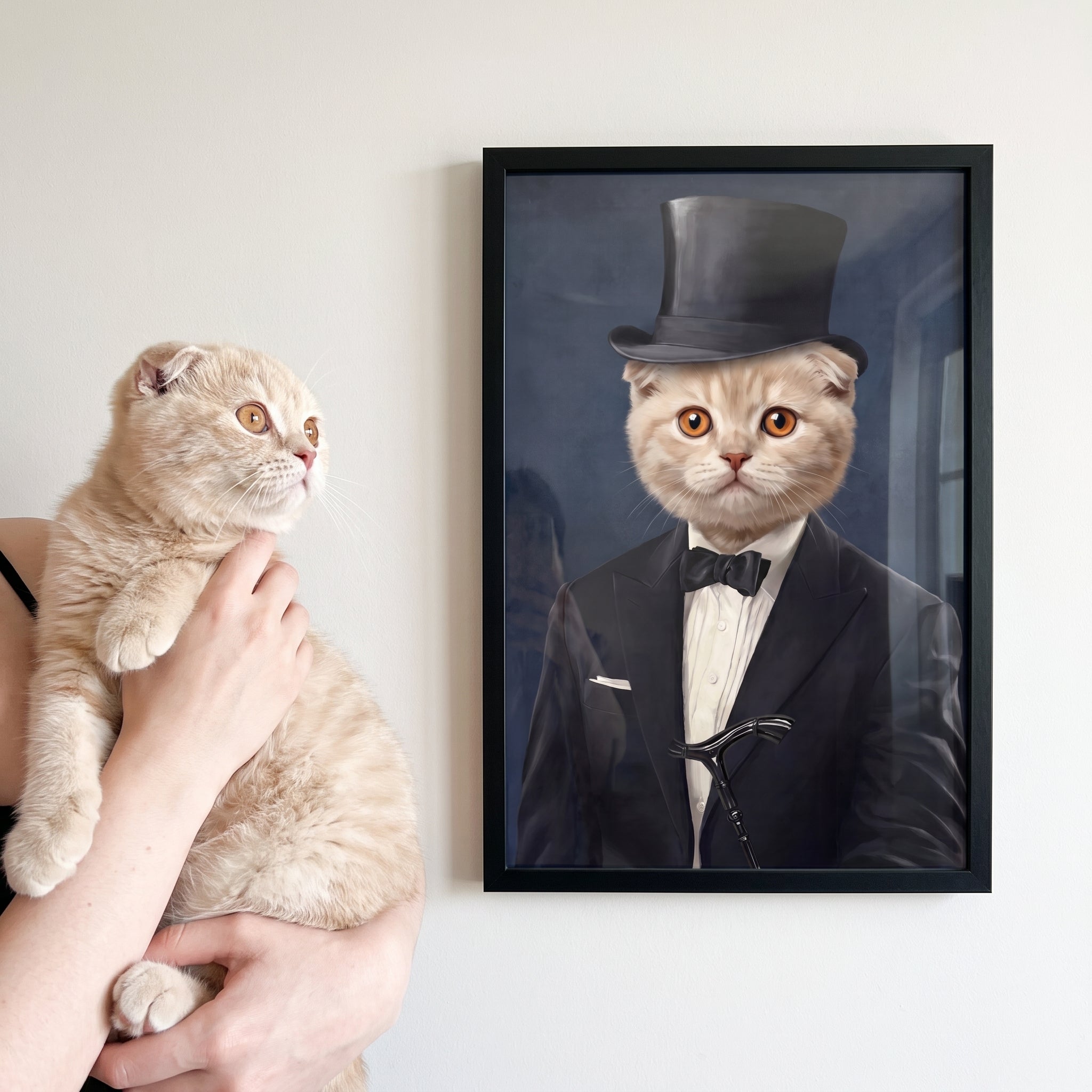 Scottish fold cat next to its The Gentleman custom pet poster