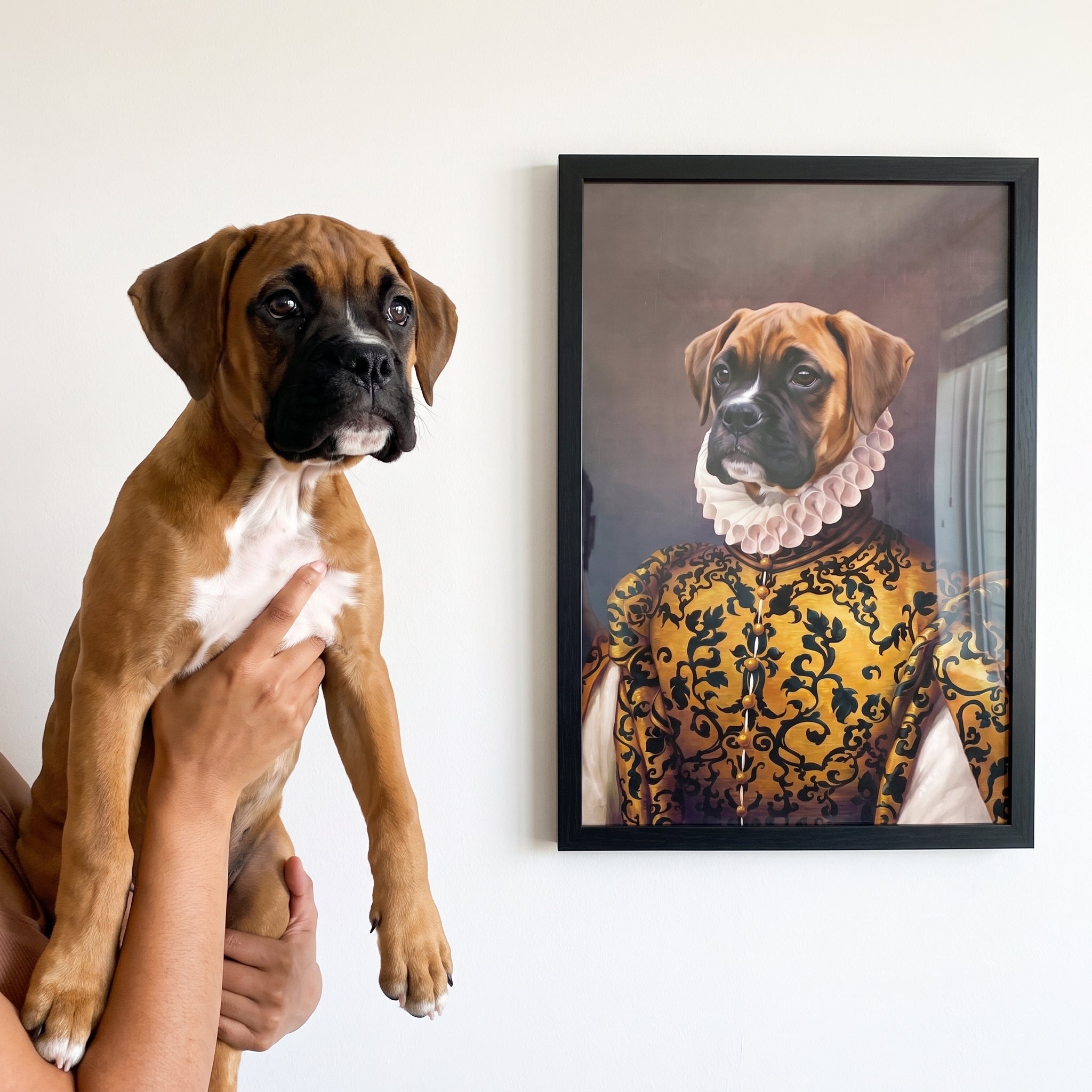 Boxer next to its The Golden Queen custom pet poster