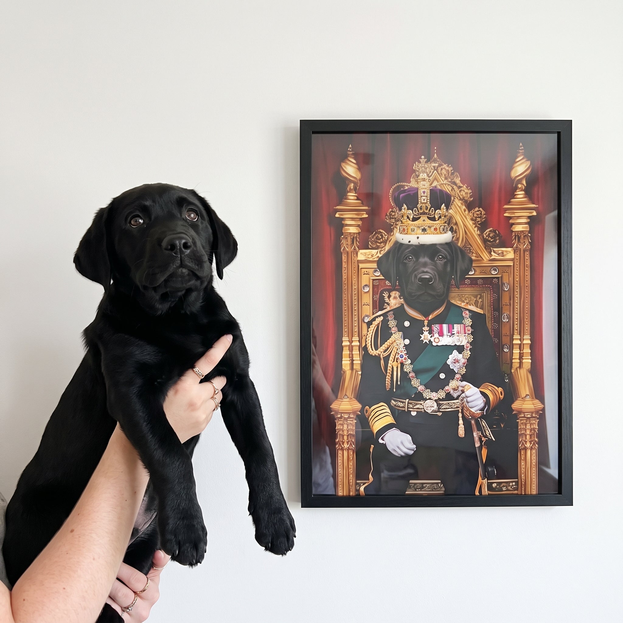 Black labrador next to its The King custom pet poster