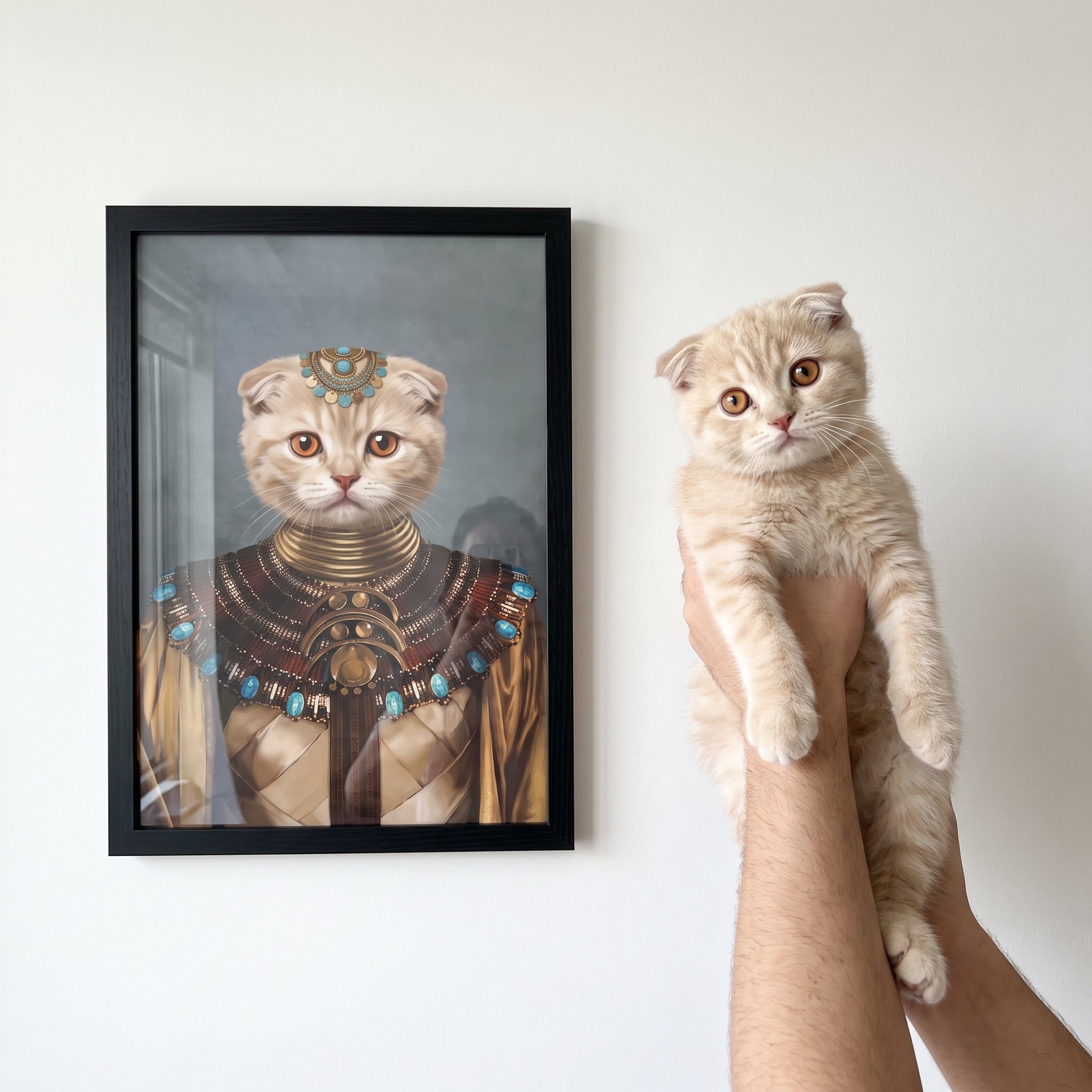 Scottish fold cat next to its The Nubian Queen custom pet poster