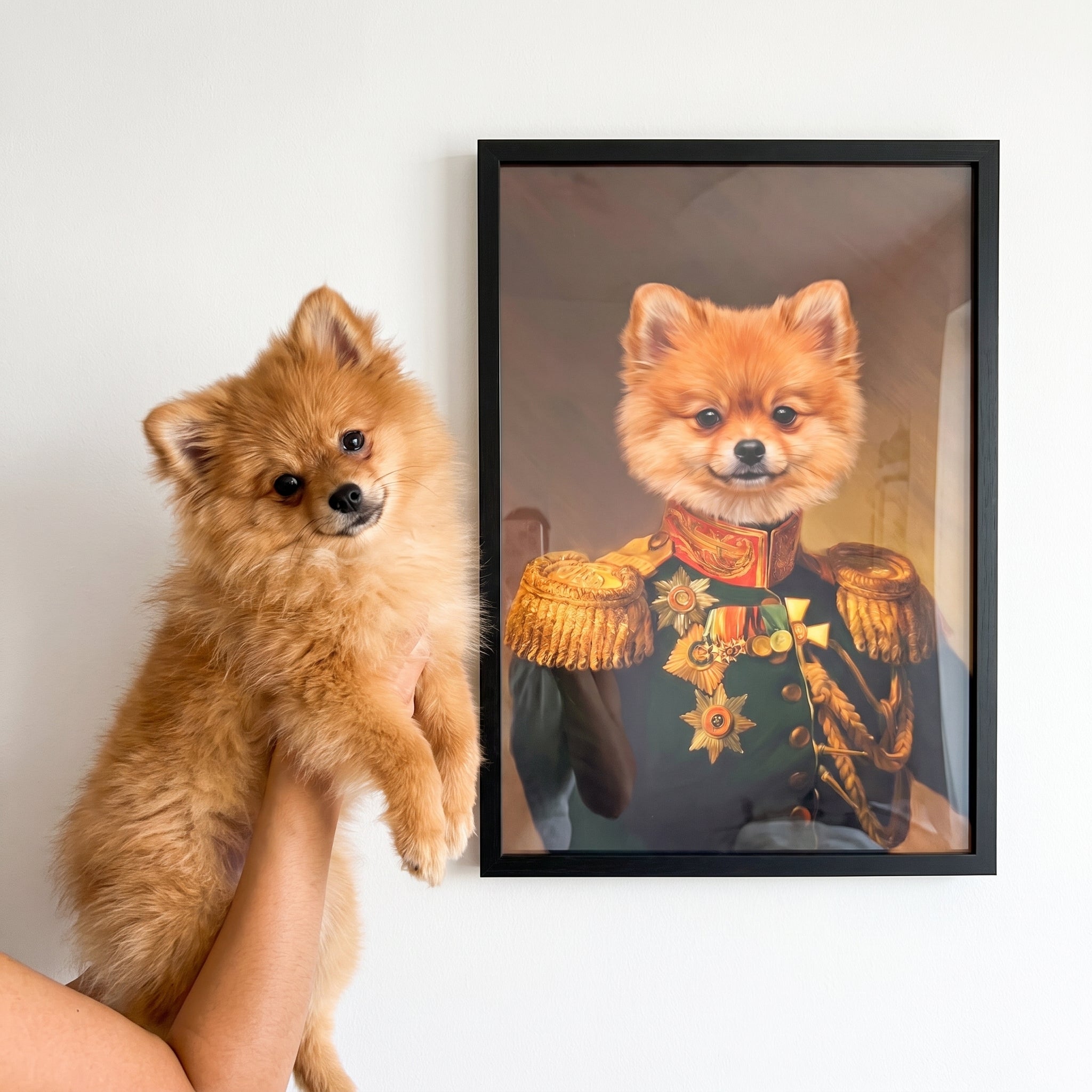 Pomeranian next to its The Veteran custom pet poster