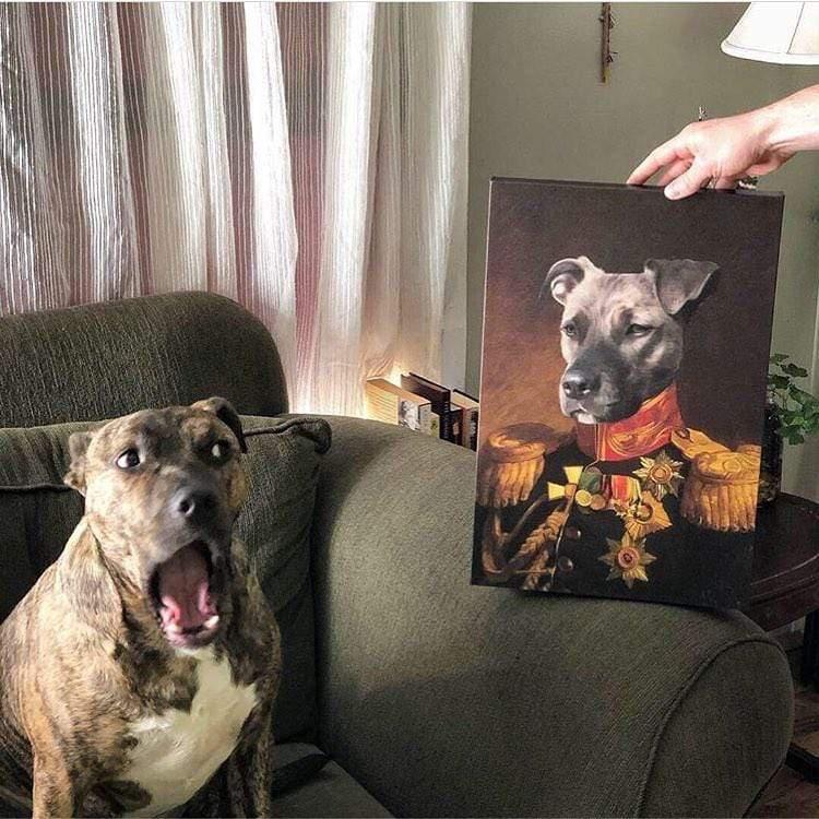 Crown and Paw - Canvas The Veteran - Custom Pet Canvas