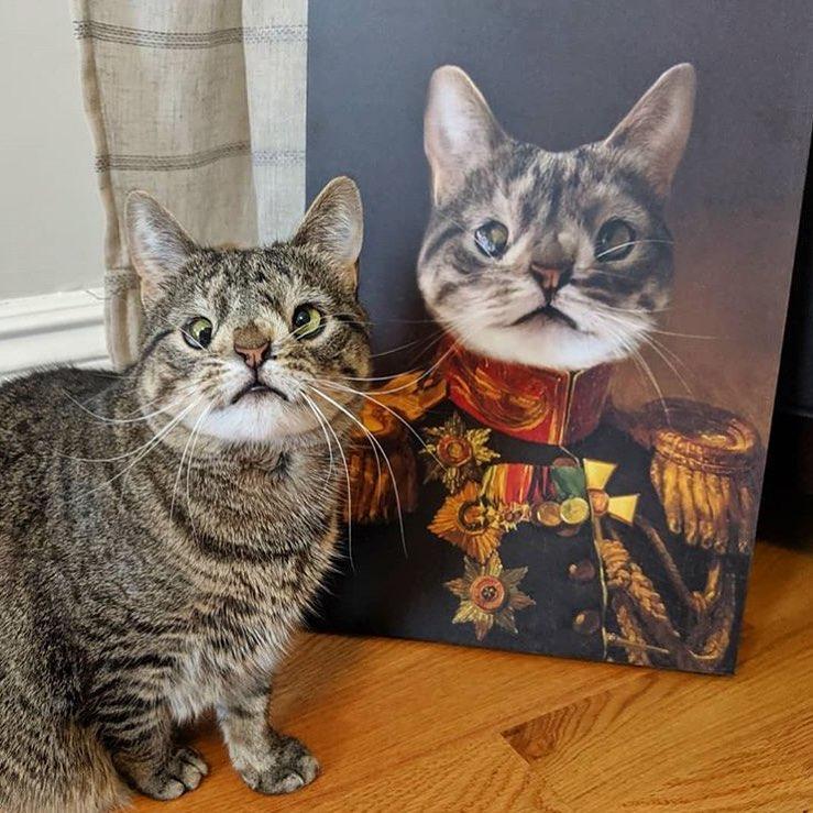 The Veteran - Custom Pet Canvas