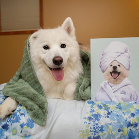 Spa Day Pet Portrait - Custom Pet Art