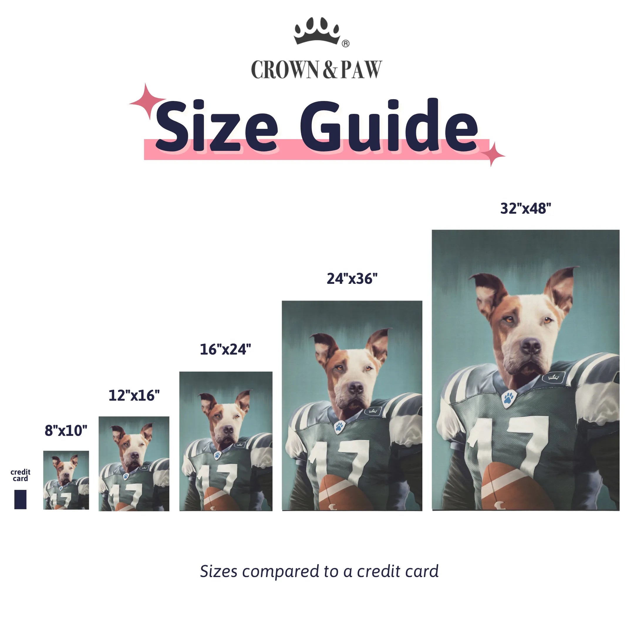 The Football Player - Custom Pet Canvas