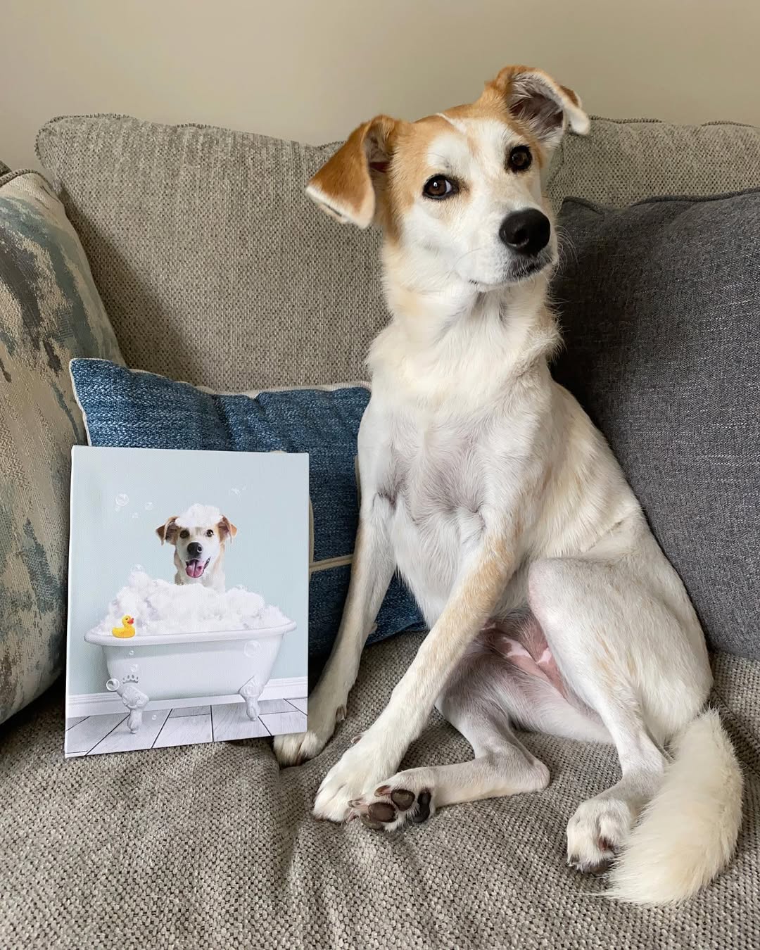 Bath Tub Pet Portrait (One Pet) - Custom Pet Art