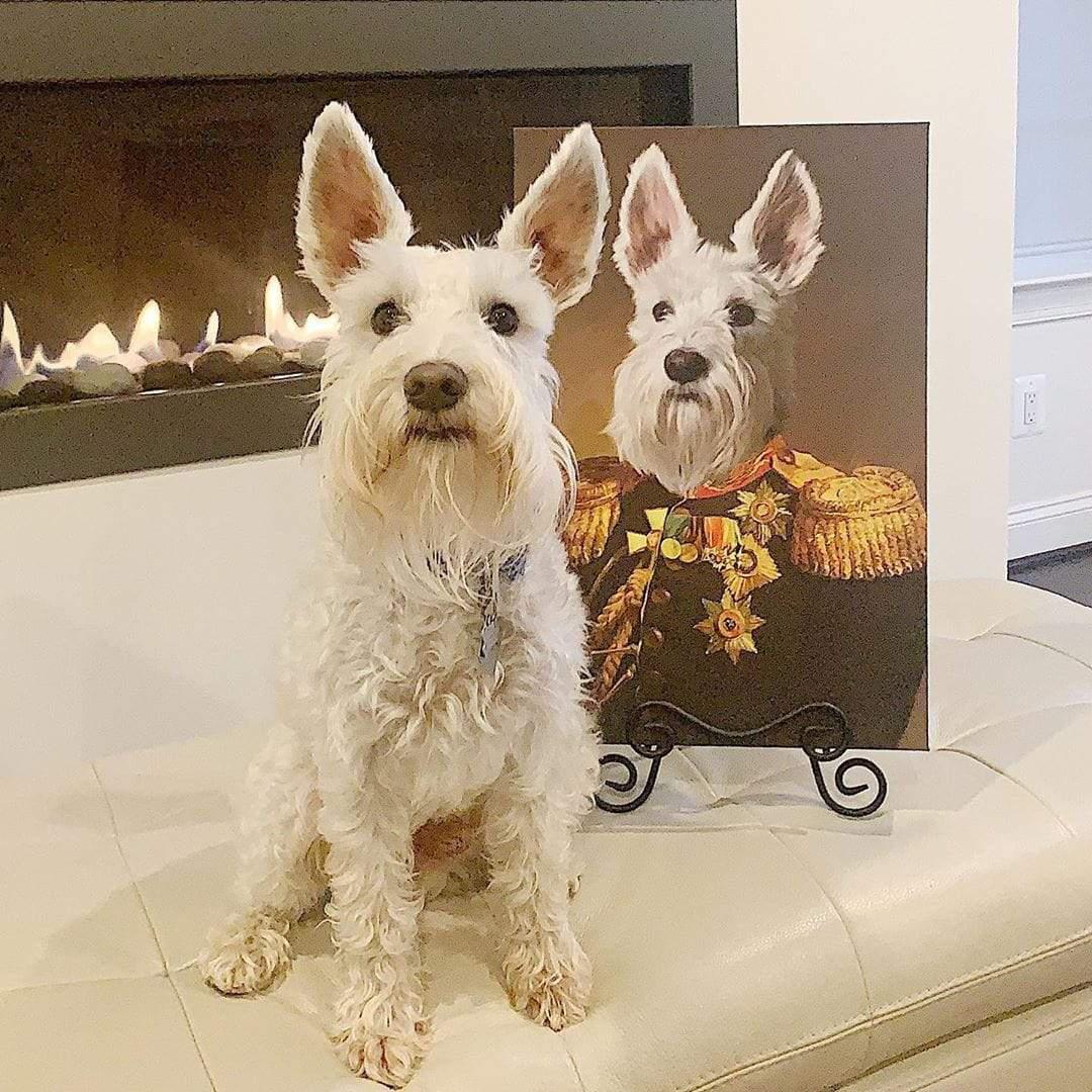 Crown and Paw - Canvas The Veteran - Custom Pet Canvas