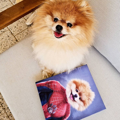Pomeranian standing next to custom portrait as spiderman