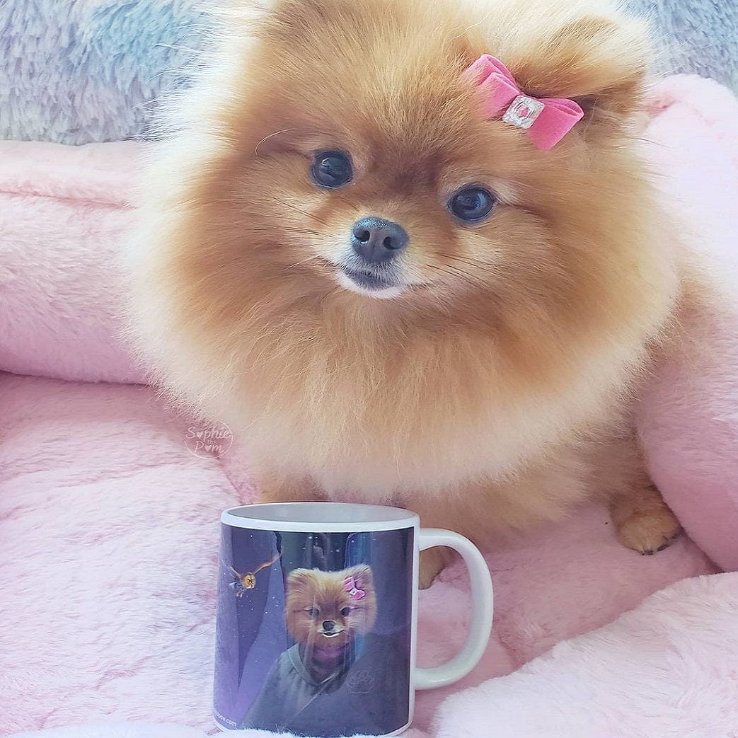 The Wizard - Custom Mug