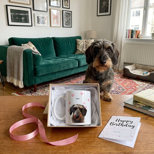 Wire-haired dachshund with the Valentines Pet Portrait Mug - One Pet: gift