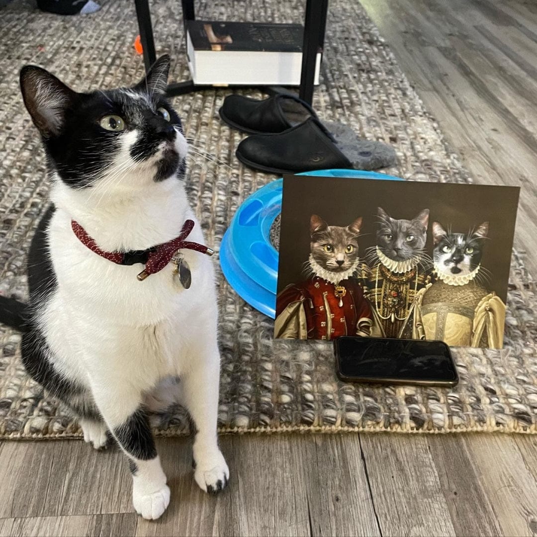 Crown and Paw - Canvas The Three Queens - Custom Pet Canvas