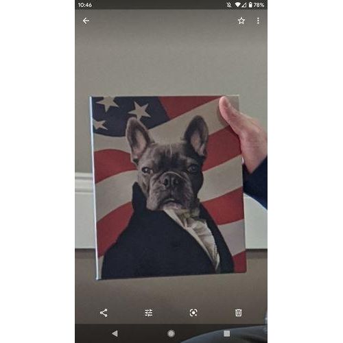 Crown and Paw - Canvas The Ambassador - USA Flag Edition - Custom Pet Canvas