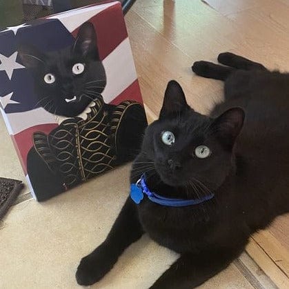 The Noble - USA Flag Edition - Custom Pet Canvas