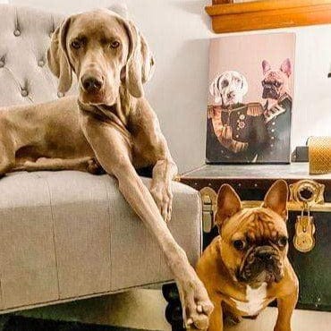 Crown and Paw - Canvas The Brothers In Arms - Custom Pet Canvas