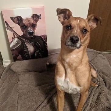 The Space Hunter - Custom Pet Blanket