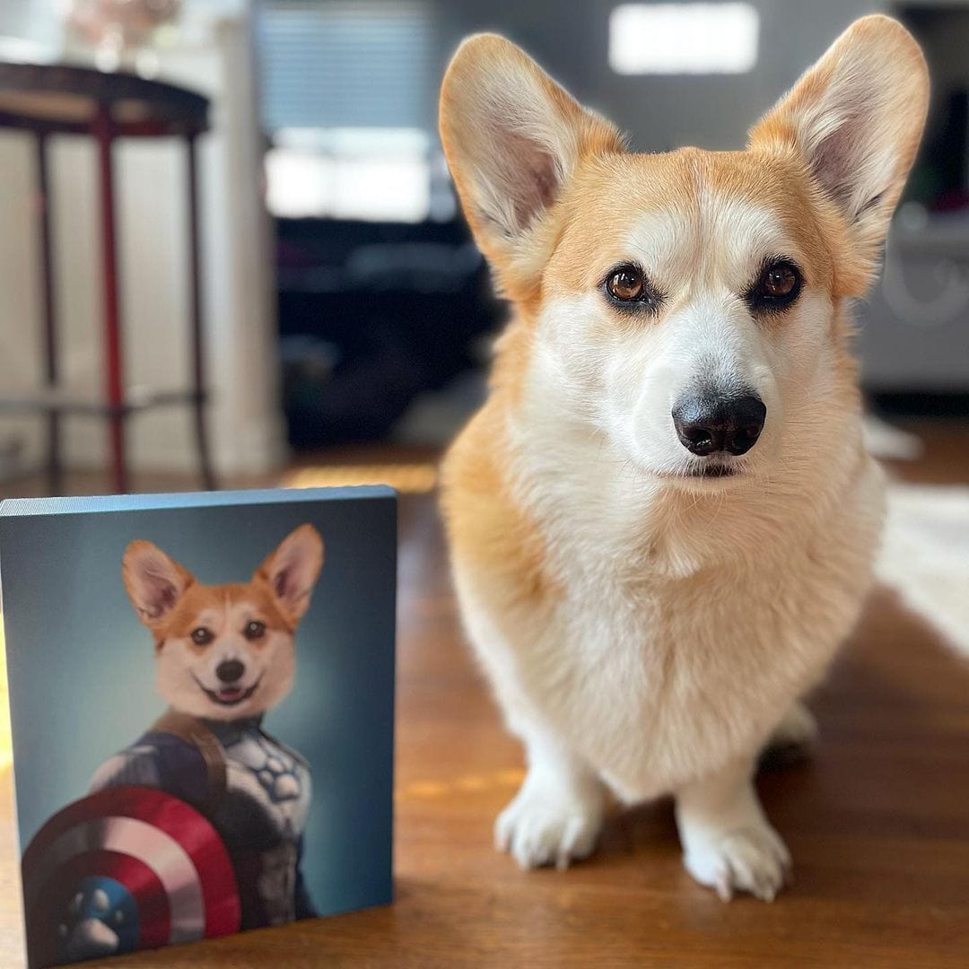 Crown and Paw - Canvas Captain Pawmerica - Custom Pet Canvas