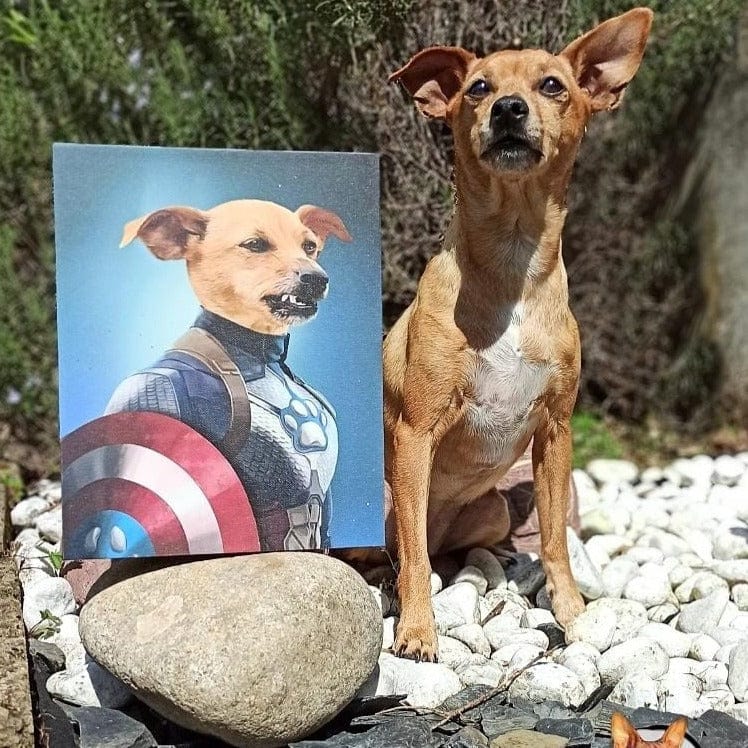 Crown and Paw - Canvas Captain Pawmerica - Custom Pet Canvas