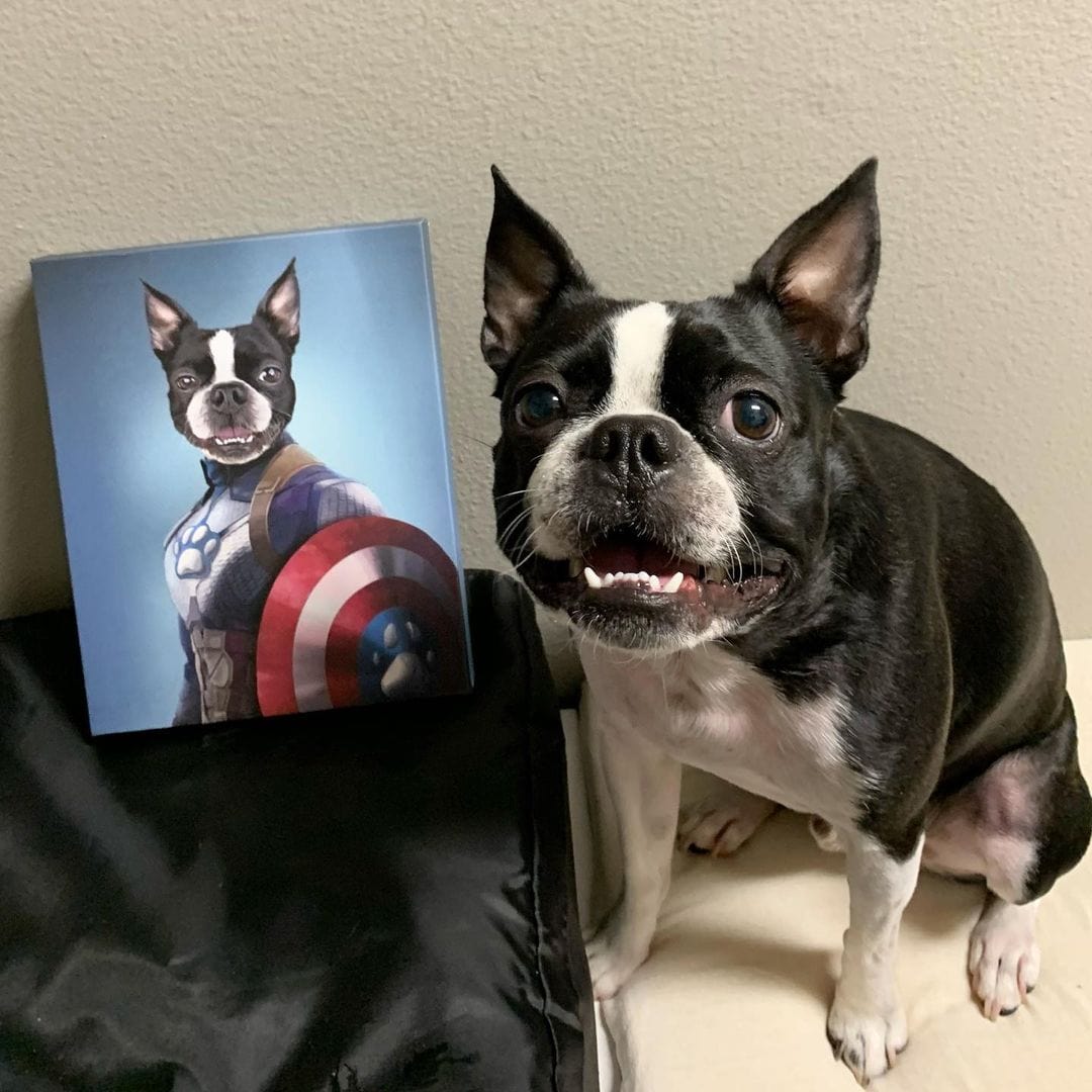Crown and Paw - Canvas Captain Pawmerica - Custom Pet Canvas