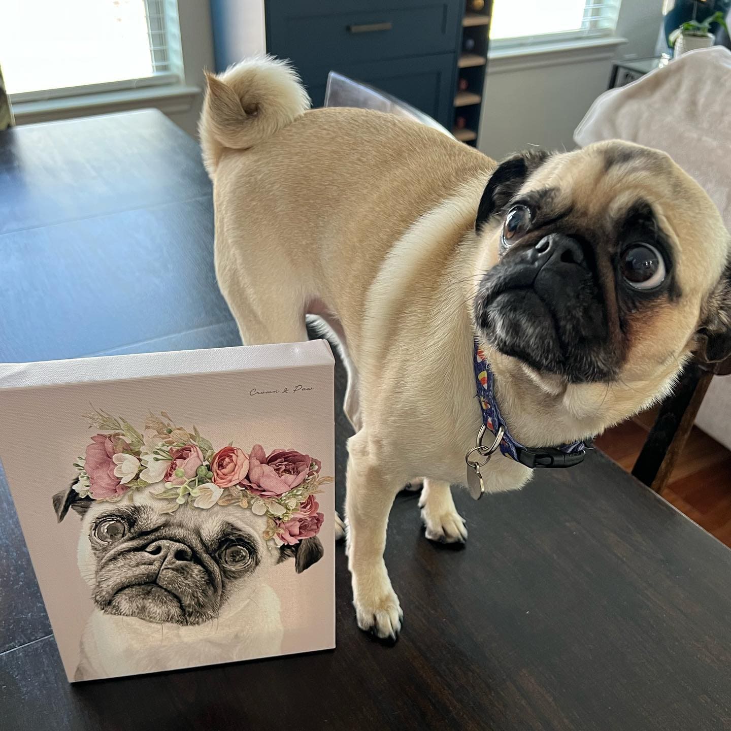 Crown and Paw - Canvas Floral Crown Pet Portrait - Custom Canvas