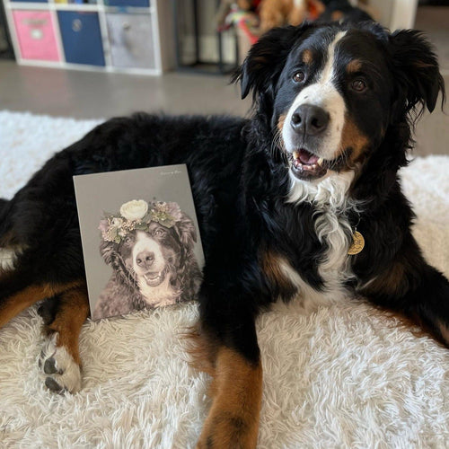 Crown and Paw - Canvas Full Bloom Pet Portrait - Custom Canvas