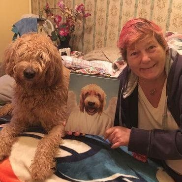 Crown and Paw - Canvas The Angel - Custom Pet Canvas