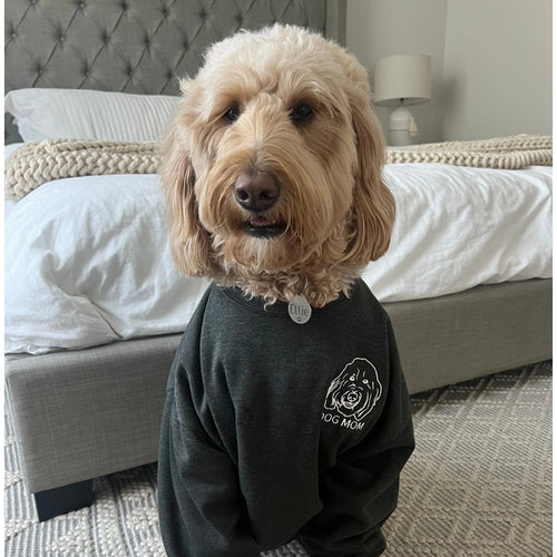 Crown and Paw - Sweatshirt Custom Embroidered Pet Face Sweatshirt