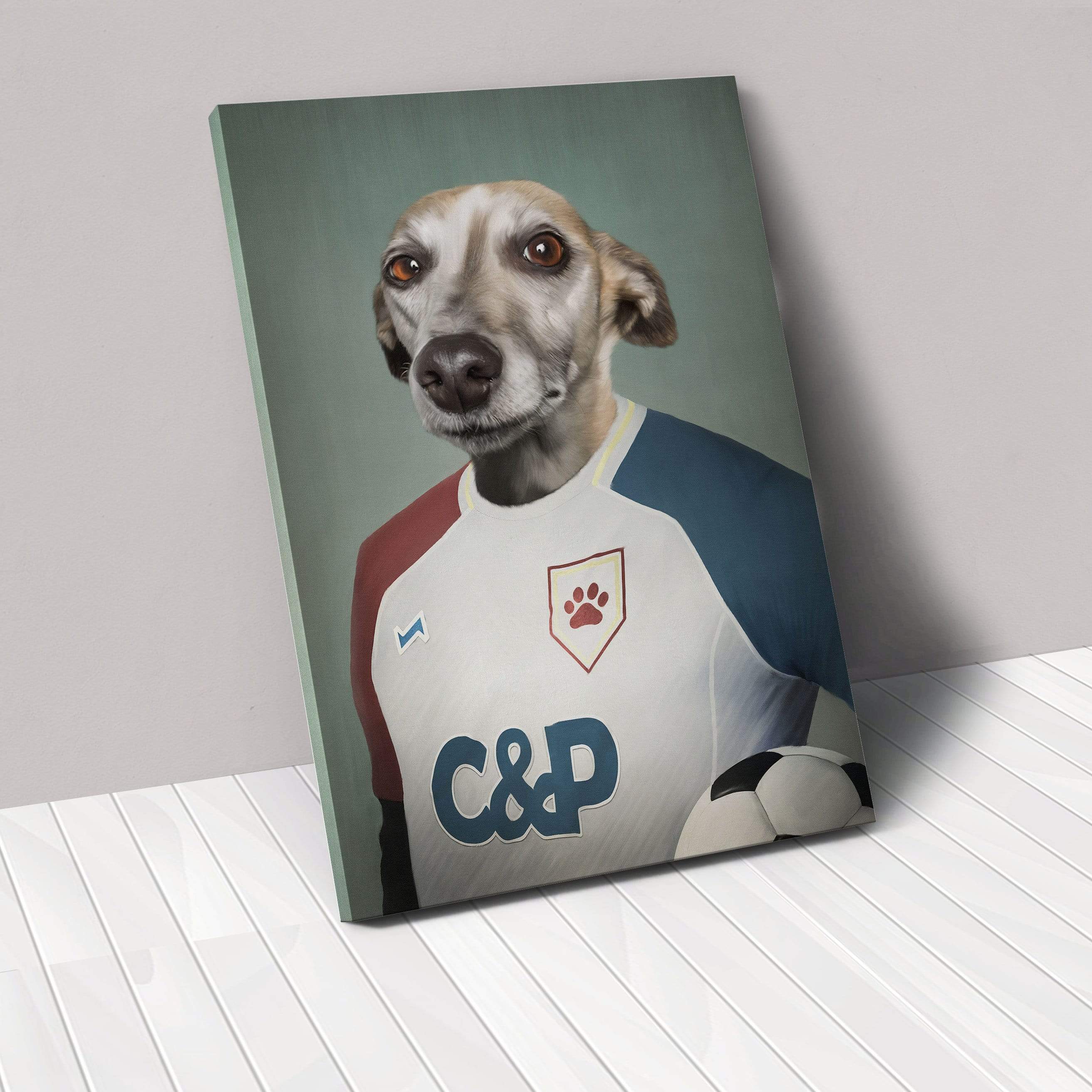 The Soccer Player - Custom Pet Canvas