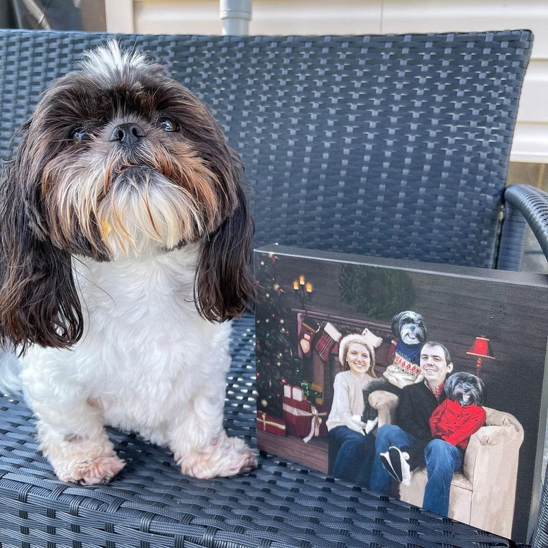 The Family Christmas (Four Pets) - Custom Pet Canvas