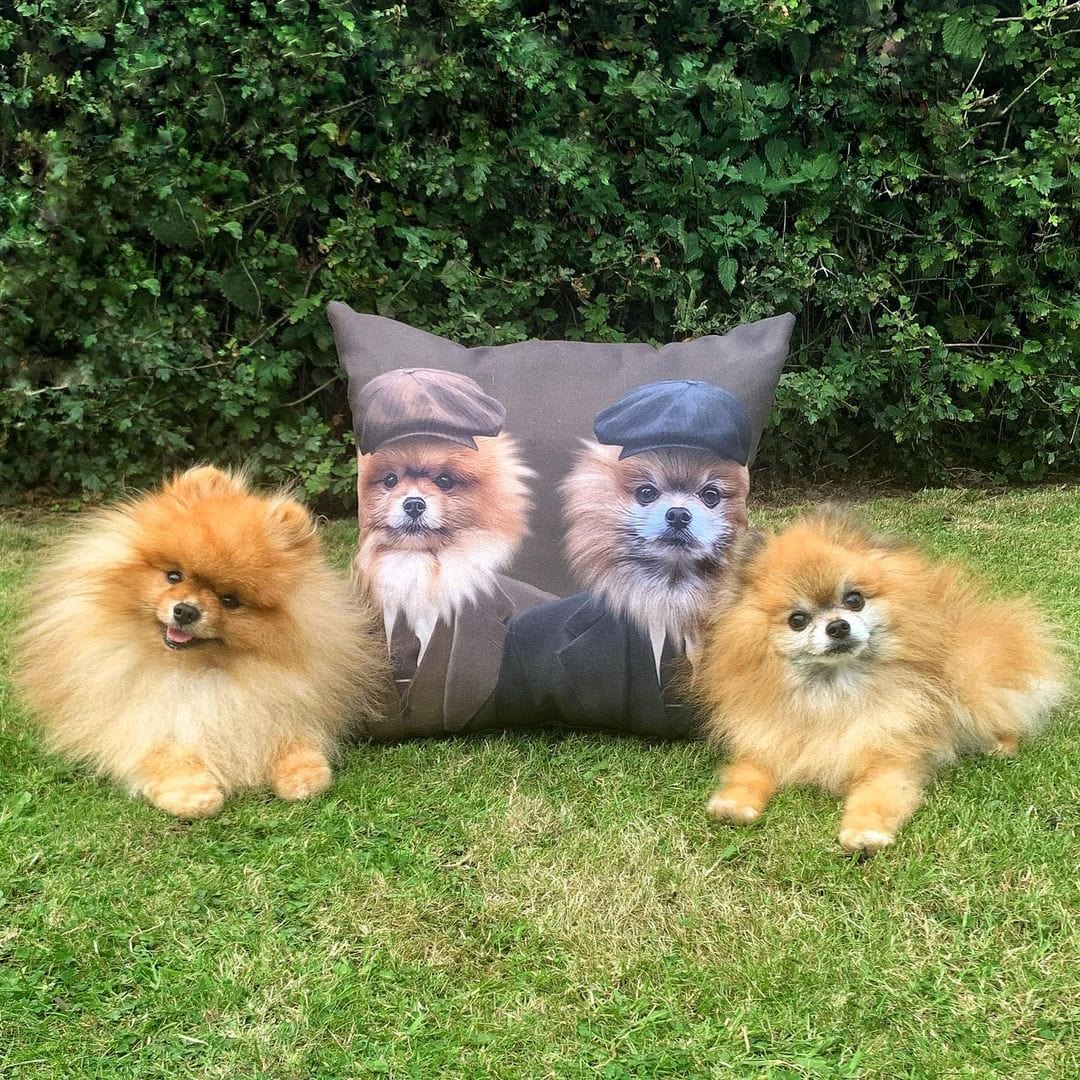 The Gangster Brothers - Custom Throw Pillow