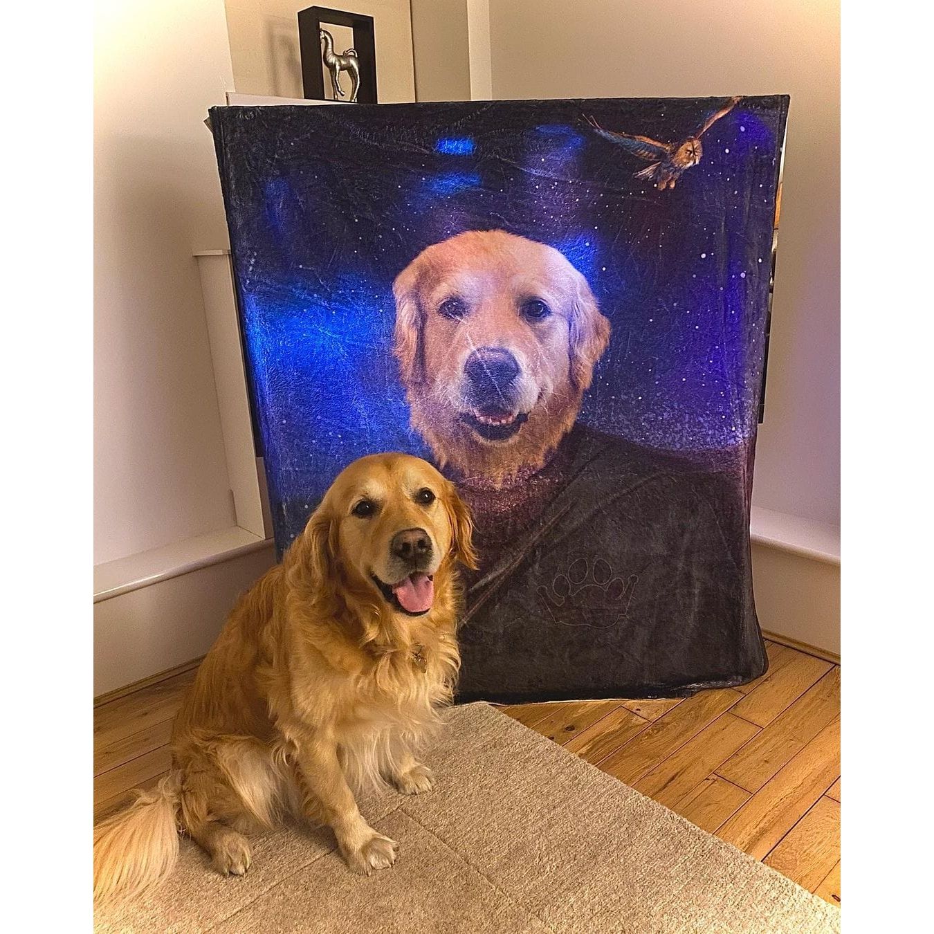 The Wizard - Custom Pet Blanket