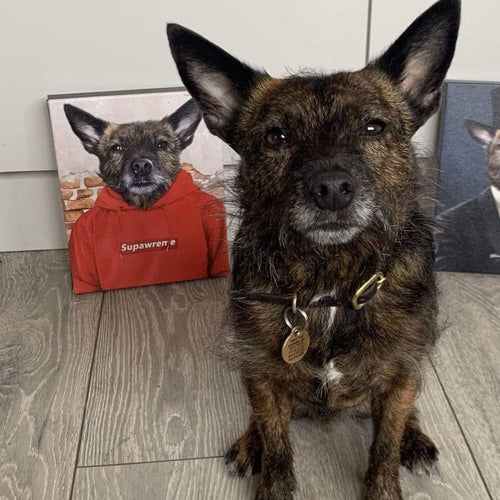 Crown and Paw - Canvas The Hypebeast - Custom Pet Canvas